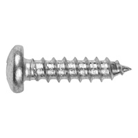 Self Tapping Screws Pan Pozi 10g x 25 Zinc( 1000 pk)