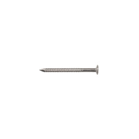 Nail Flathead Stainless Steel 100mm x 4.0mm 1kg