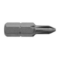 Phillips Reduced Head Insert 2x25mm