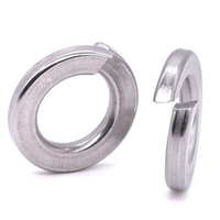 Washer,Spring M5 SS Spring 100 pack