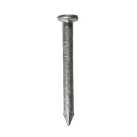 StrongTie Joist Hanger Product Nail 500 38mm collated Galv (500pk)