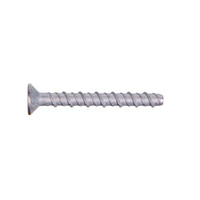 Strong Drive SDWS Structural 5.6 x 100mm( 100 pk)